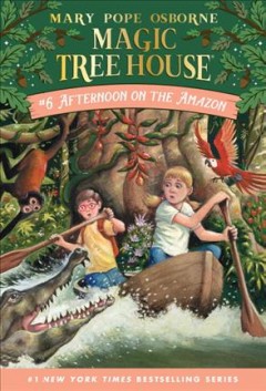 Afternoon on the Amazon  Cover Image