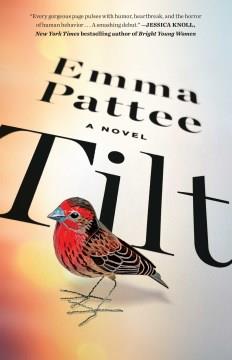 Tilt : a novel Book cover