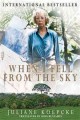 Go to record When I Fell From the Sky : The True Story of One Woman's M...