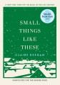 Go to record Small things like these