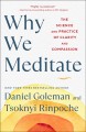 Go to record Why we meditate : the science and practice of clarity and ...
